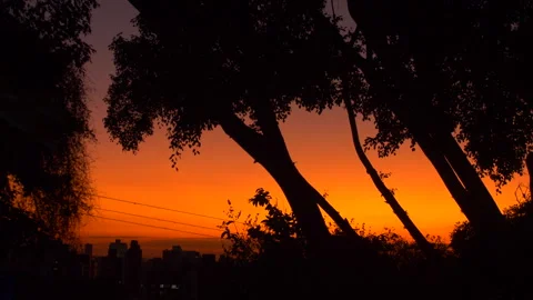 Sunset warm at window and trees 4K Stock Footage 279658779