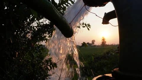 Sunset Water Flow in Irrigation Pipe Stock Footage 326159967