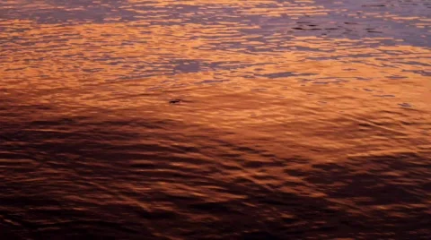 Sunset on Water Video stock 810251