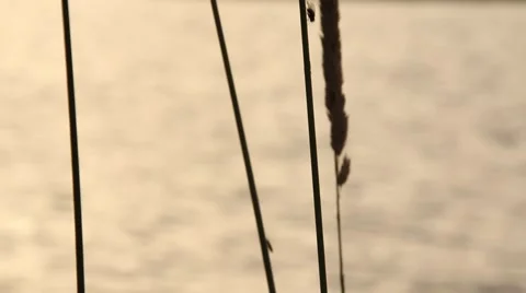 Sunset water Stock Footage 41212661