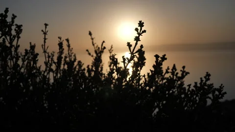 Sunset by the water Stock Footage 230106813