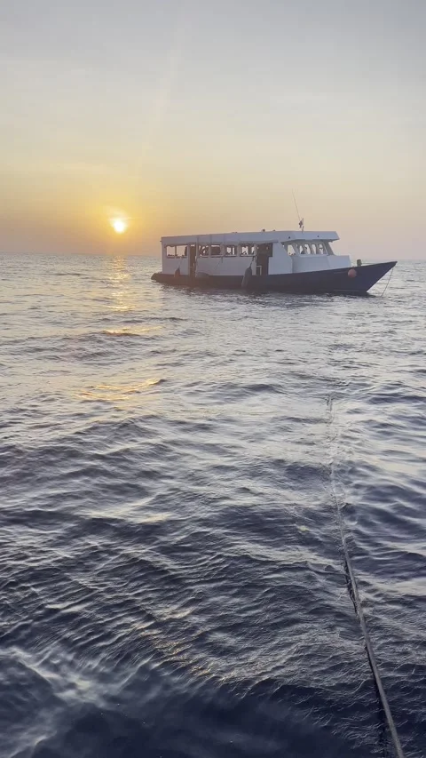 SUNSET ON THE WATER Stock Footage 305277444