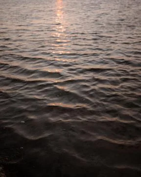 Sunset on the water Stock Photos