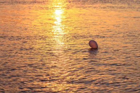 Sunset in the water Stock Photos