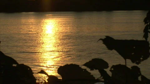 Sunset water reflection.mov Stock Footage 527556