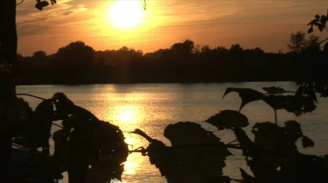 Sunset water skiing Stock Footage