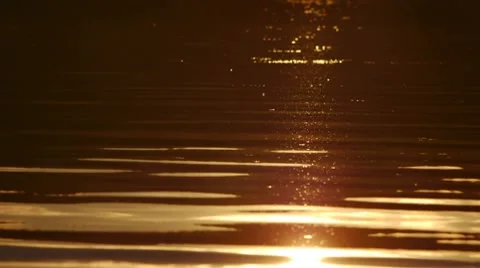Sunset water surface Stock Footage