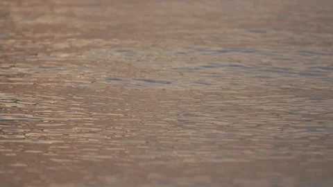 Sunset Water Texture Background. Calm Surface Of A Sea. Travel And Vacation At Stock Footage 262002577