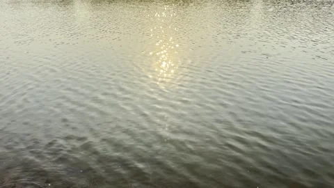 Sunset water waves natural light reflection Stock Footage 306937086