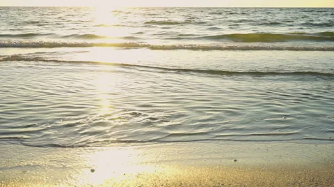 Sunset on the waters edge Stock Footage 42773228