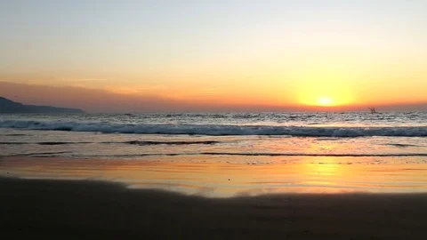 Sunset, Waves and Seabirds Stock Footage 83131969