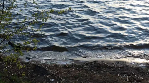 Sunset, waves and shore. Stock Footage 129523453