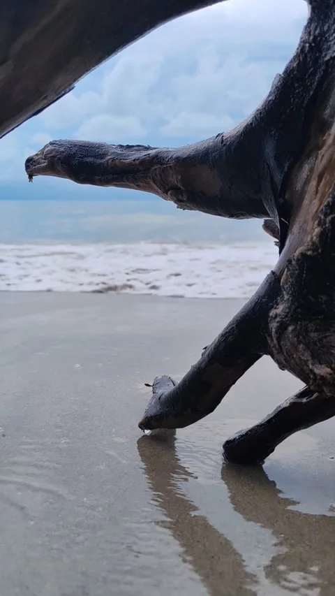 Sunset Waves at the Beach Stock Footage 326161659