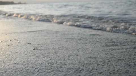 At sunset waves Stock Footage 96245662