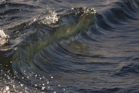 Sunset Waves 库存照片