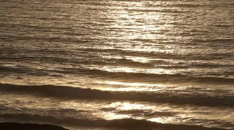 Sunset waves with Sea gull Stock Footage 21541339