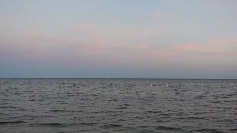 Sunset waves with white pelicans Stock-Footage 168184422