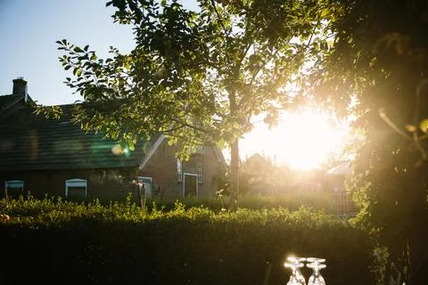 Sunset at a wedding Foto stock