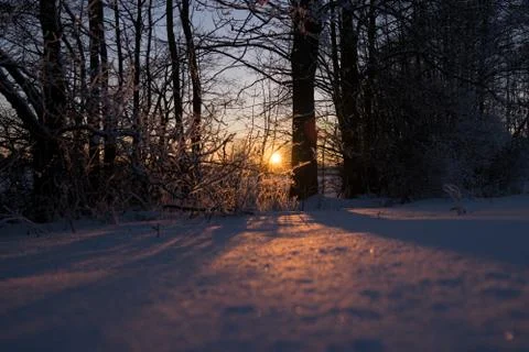Sunset Weidenteich Winter Stock Photos