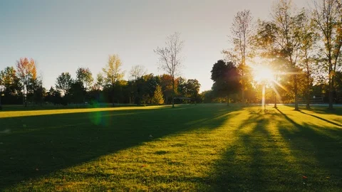 Sunset in a well-kept park with a large lawn, the sun shines through the trees Stock Footage 99361447