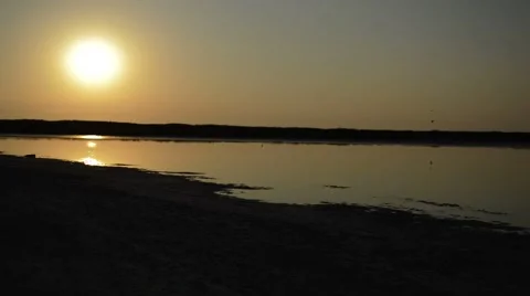Sunset in a wetland Video stock 44613710