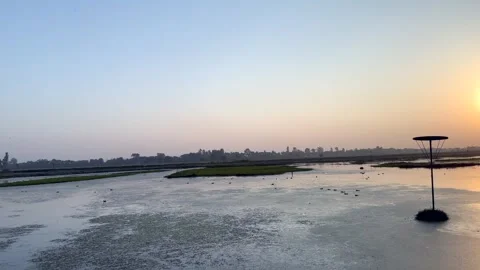 Sunset in wetland Stock Footage 322937415