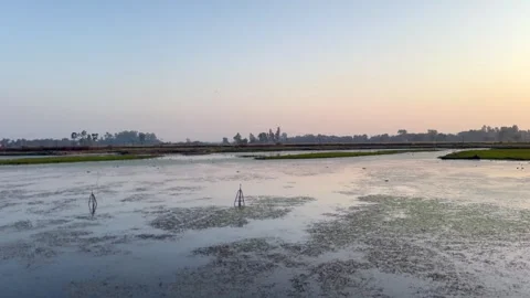 Sunset in wetland Stock Footage 322937446