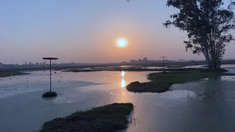 Sunset in wetland 스톡 동영상 322939627