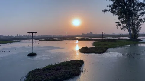 Sunset in wetland 스톡 동영상 322939744