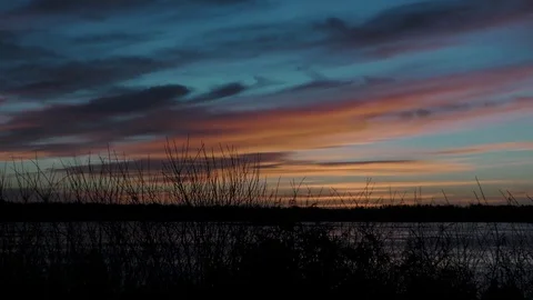 Sunset on the Wetlands Stock Footage 75427944