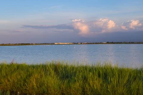 Sunset on wetlands Stock Photos