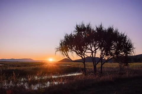 Sunset At The Wetlands Foto stock