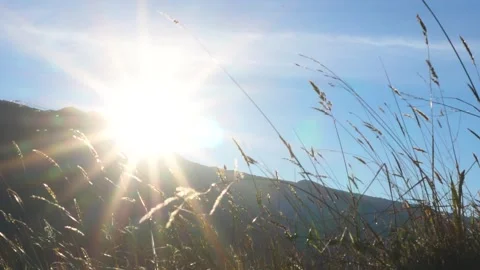 Sunset with wheat ears in the mountain. Sun in the middle of the mountain Stock-Footage 251023603
