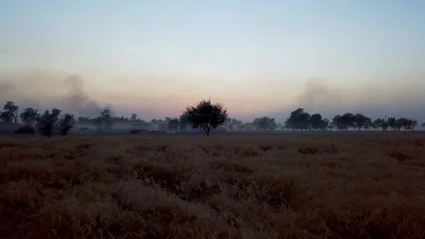 Sunset at wheat farm Video stock 90679147