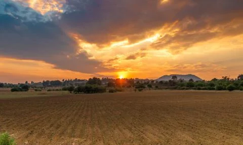 Sunset in wheat field during the magic hour. Field, forest Stock Photos