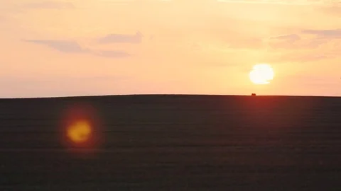 Sunset on the wheat field 库存影片 78571841
