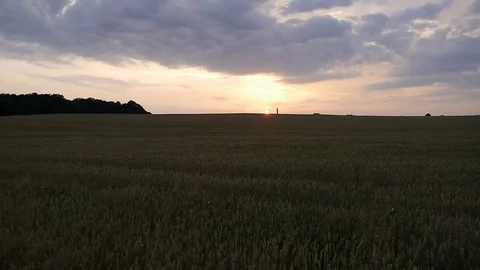 Sunset on the wheat field Stock Footage 78571984