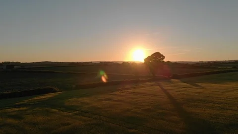 Sunset on the Wheat Field Stock Footage