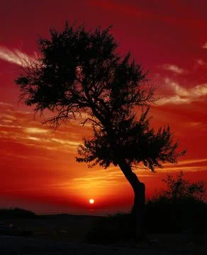 A sunset which is in harmony with nature Stock-Fotos