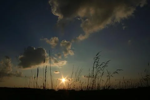 Sunset whispers through the grass under a cloudy sky Stock-Fotos