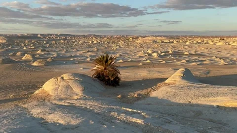 Sunset in the White Desert, Egypt. Stock-Footage 313541646