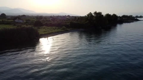 Sunset on a wild Mediterranean beach with trees in Greece Stock Footage 319748708