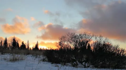 Sunset with willows Stock Footage 9919641