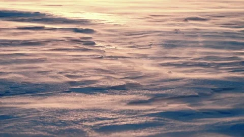 At sunset, the wind blows snow across the snow cover. low temperature. Stock Footage 313832392