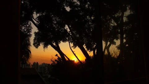Sunset at window and trees 4K Stock Footage 279658497