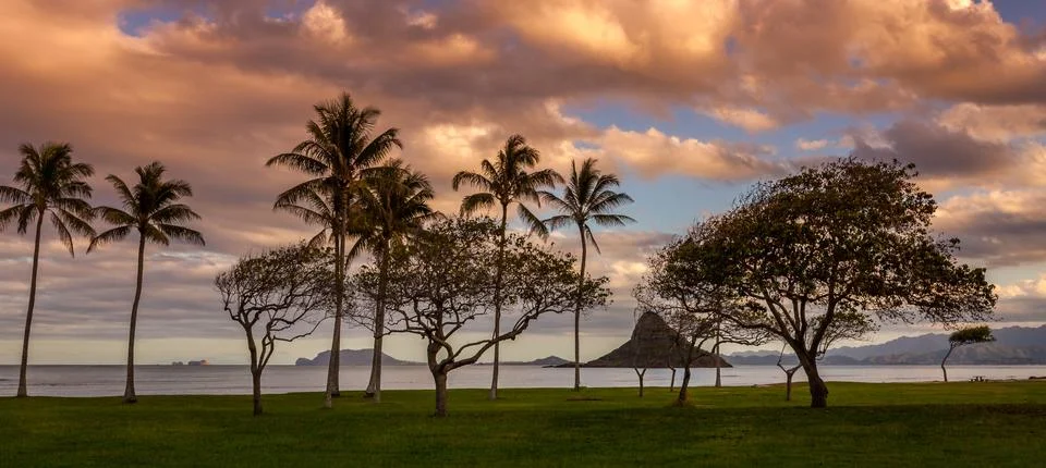 Sunset on the windward coast 库存照片