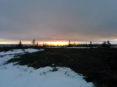 Sunset in the winter with clouds and trees Stock Photos