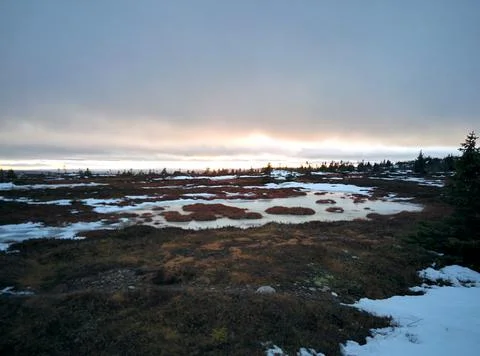 Sunset in the winter with clouds and trees Stock Photos