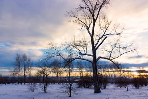 Sunset in winter day Stock Photos