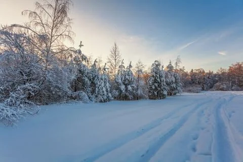 Sunset in winter field Stock Photos